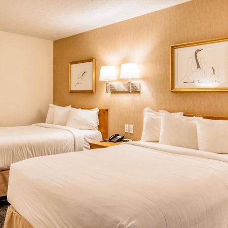 روين Motel Mistral المظهر الخارجي الصورة