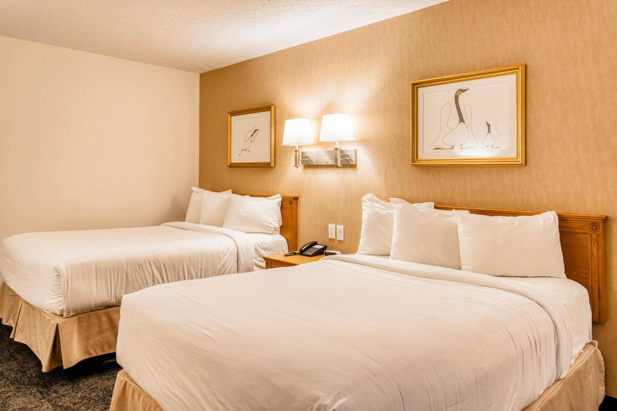 روين Motel Mistral المظهر الخارجي الصورة