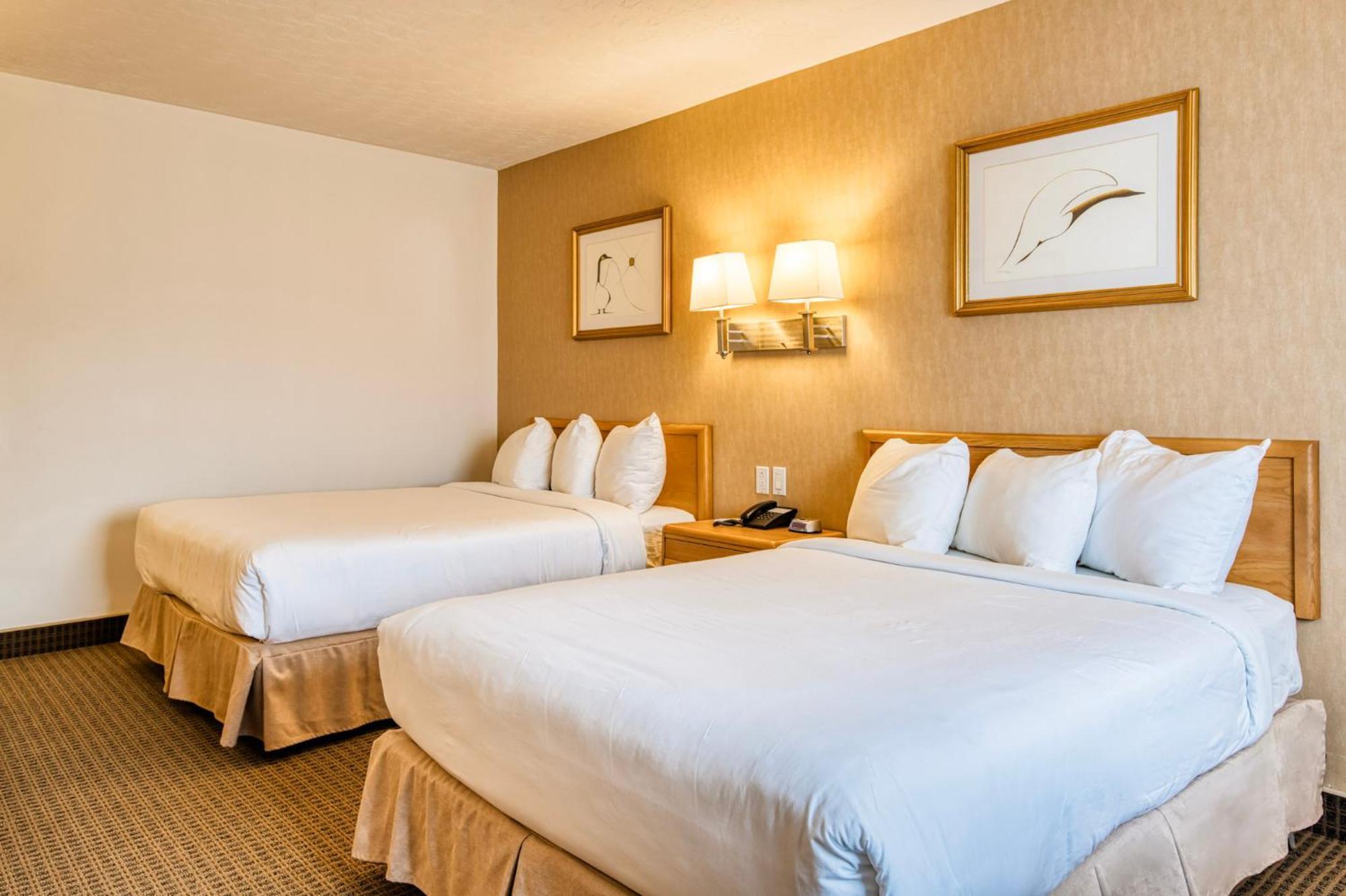 روين Motel Mistral المظهر الخارجي الصورة